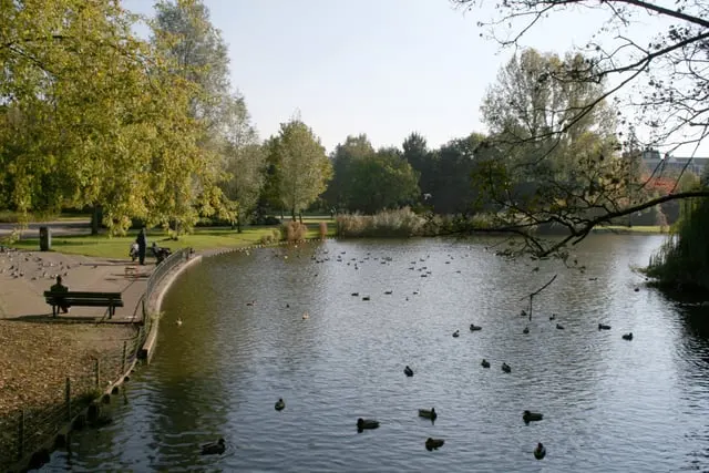 Oosterpark pond and trees