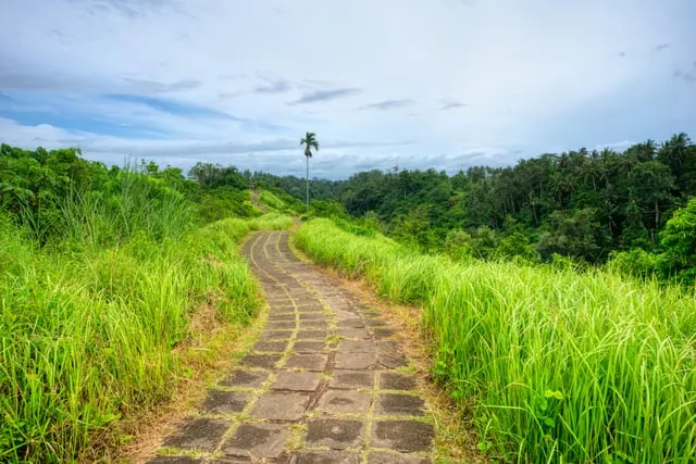 The paved Campuhan Ridge path through tall green grass, blue sky