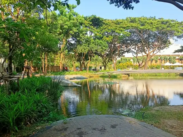 The park's pond and trees in sunshine