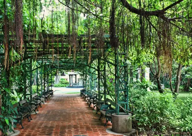A green pergola walk in the Princess Mother Memorial Park