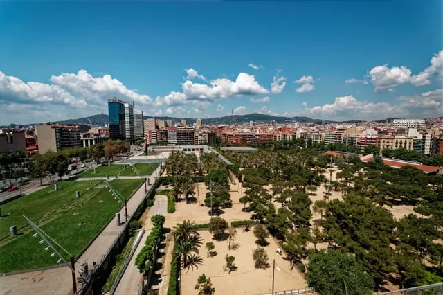 Parc Joan Miró's tree grid and lawn from above, blue sky