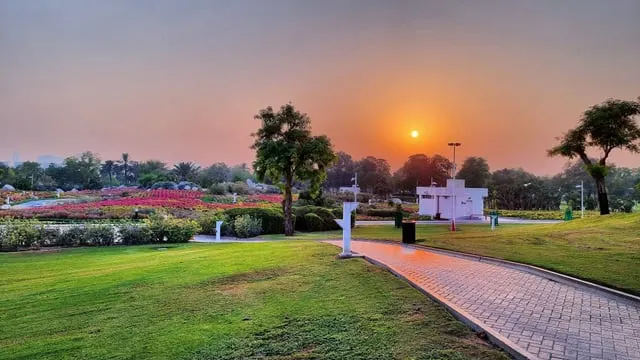 Creek Park lawns at sunset