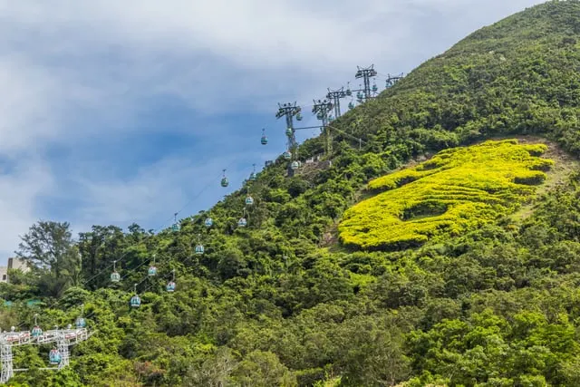 Ben Lodge / Pexels / Pexels Licence Cable cars climbing the green Lantau hillside, blue sky