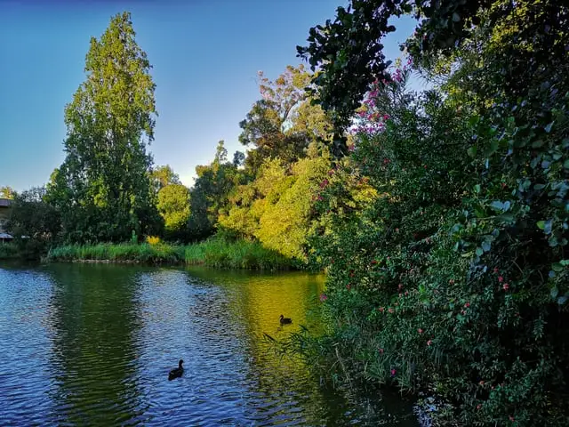 Gulbenkian Garden
