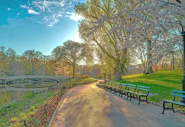 Central Park