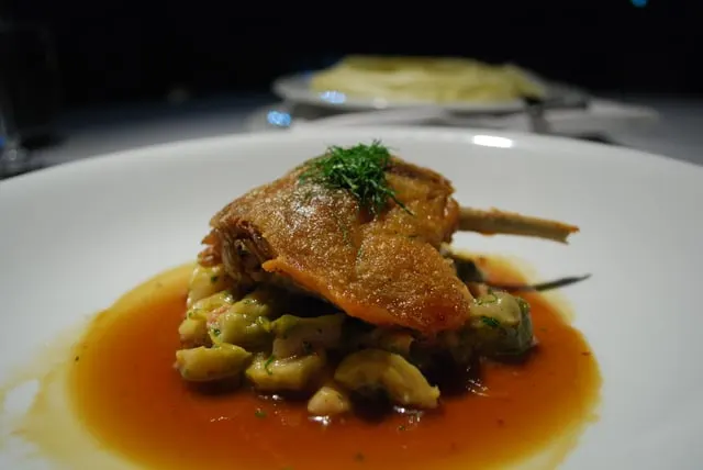 Confit duck leg on vegetables in a dark sauce (only 2048 px wide)