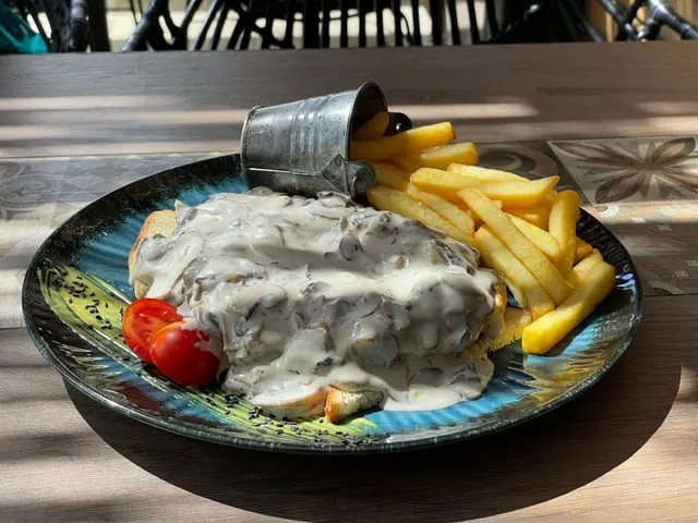 Meat in a cream sauce with fries (stand-in)