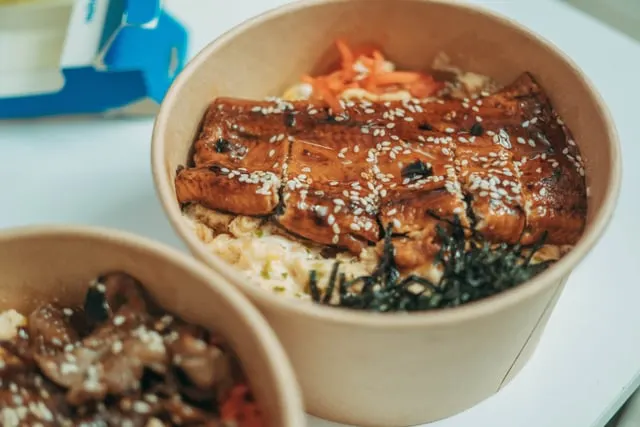 Grilled eel glazed with sauce on rice in a bowl