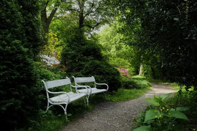Prague Botanical Garden path between flower beds