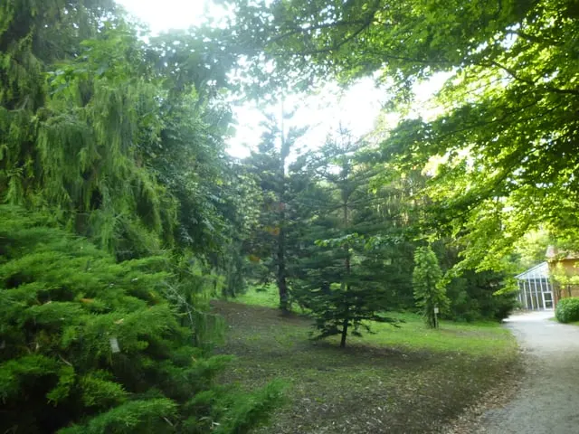 Orto Botanico di Roma (Rome Botanical Garden)