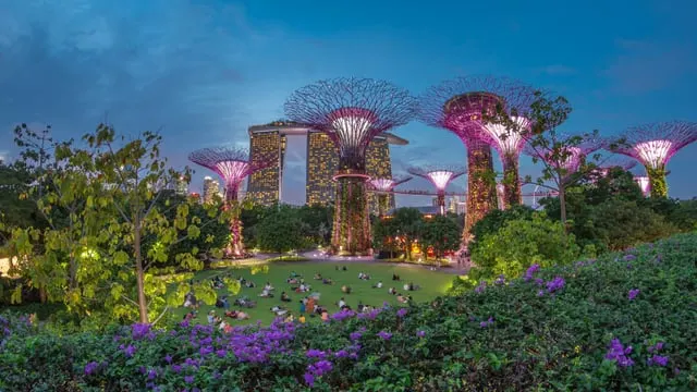 Aerial view of Gardens by the Bay and Marina Bay
