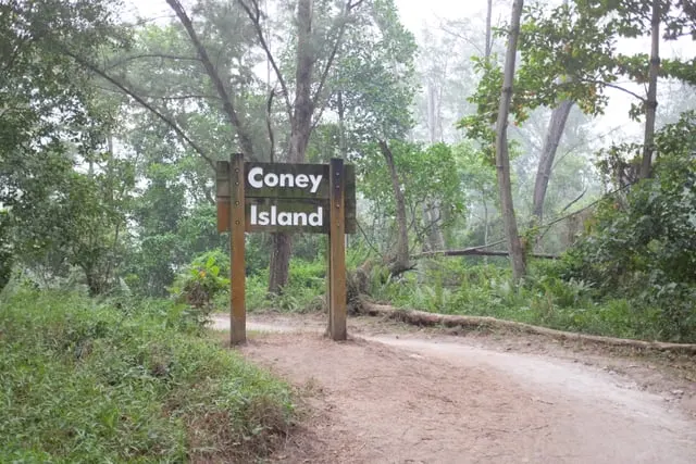 The Coney Island signpost on a forest trail