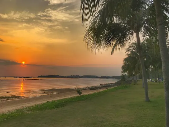 Pasir Ris beach and palms at sunrise