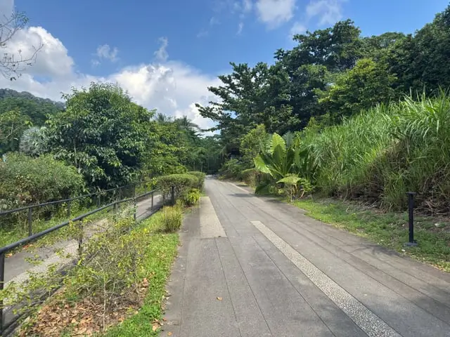 The Rail Corridor's green trail under a blue sky